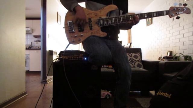 Cort Gb5 Custom Bass Guitar Demo смотреть онлайн