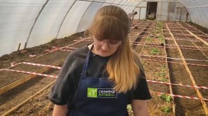 РАССАДА ТОМАТОВ ВЫТЯНУЛАСЬ. ПРОСТОЙ И БЫСТРЫЙ СПОСОБ ПОСАДКИ В ГРУНТ.mp4