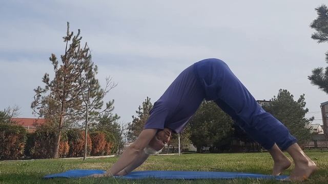 Кундалини Йога. Сарабанданда/Сарбханг дандэ крийя смотреть онлайн