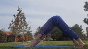 Кундалини Йога. Сарабанданда/Сарбханг дандэ крийя