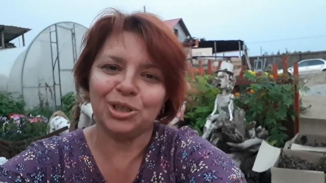 #35 Ответы на коментарии😊😊😊😊😊