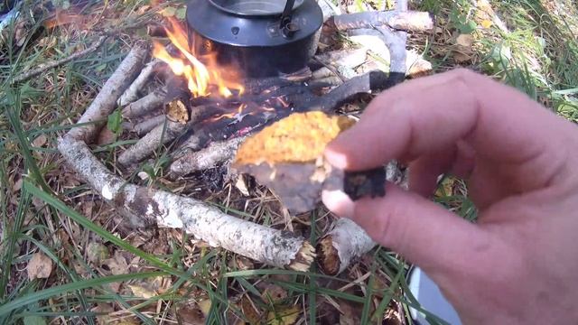 ПОХОД в ЛЕС: грибы, чага, еда на костре. смотреть онлайн