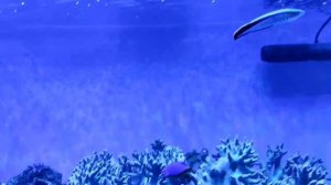 Анапа. 12.08.2021.Прогулка от санатория "Русь" до центральной набережной.