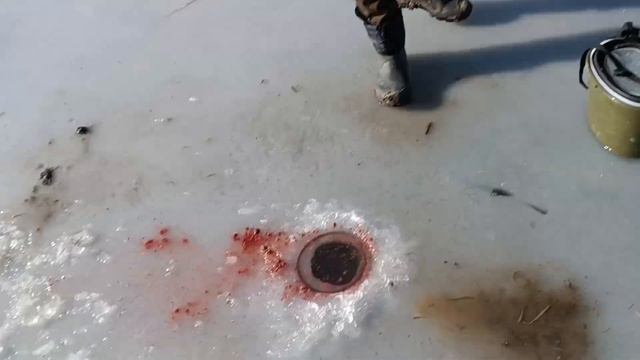 РЫБАЛКА НА ЛЬДУ/ЛОВЛЯ ТАРАНИ смотреть онлайн