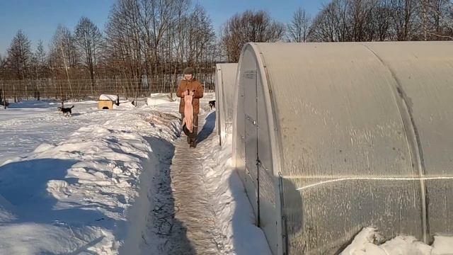 ?Последний штрих и добро пожаловать на полный откорм Дюрок + Крупная Белая