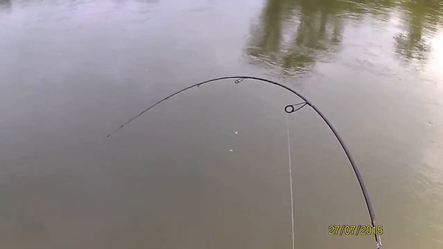 4 августа 2016 г. смотреть онлайн