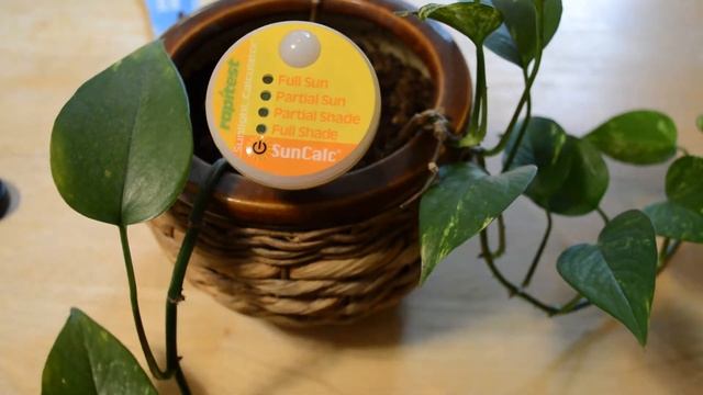 Suncalc Luster Leaf Sunlight Calculator смотреть онлайн