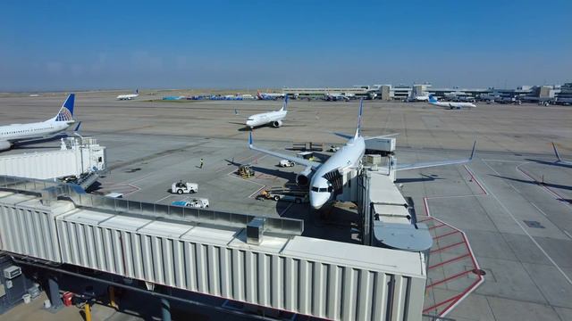 Denver Airport Timelapse - United B-Gates смотреть онлайн