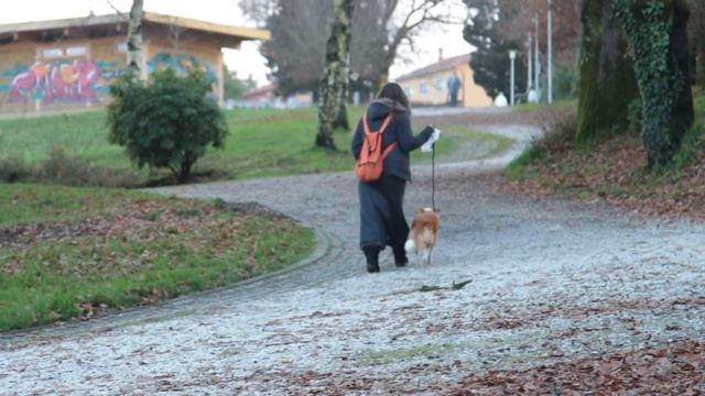 EOS 650D + EF 24-105 L VIDEO Y FOTO TEST