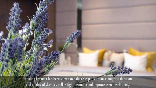 Why You Need Grow Lavender At Home? And How To смотреть онлайн
