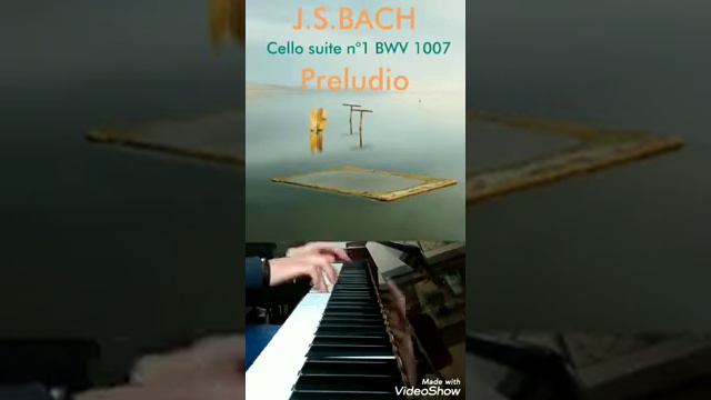 J.S.Bach. BWV 1007 /Prelude from Cello solo (trascr. Luca Rodigari) смотреть онлайн