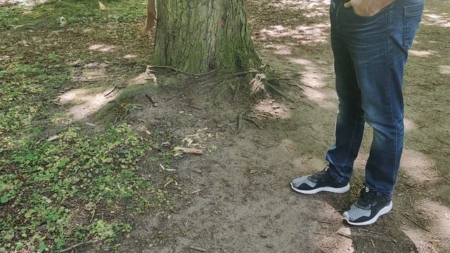 Прогулка с нами по спальному району Вроцлава, вам здесь понравится, май 2022, парк Zachodni Wrocław смотреть онлайн
