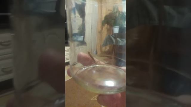 Творческий Путь к Совершенству