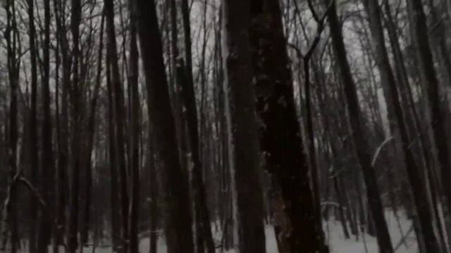 ХЕТ-ТРИК...охота на куницу.