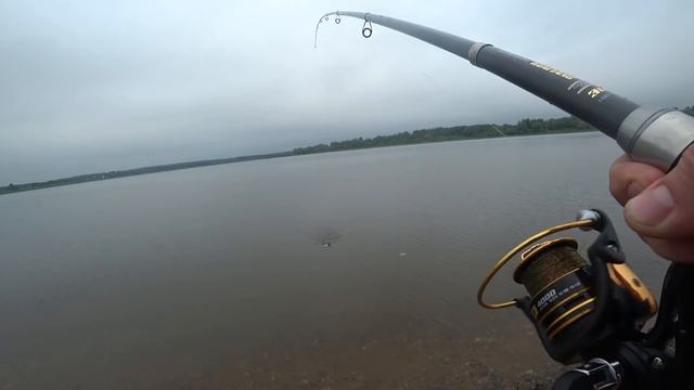 Рузское водохранилище/Ловим густеру в мае/ Двойной улов, Неожиданно смотреть онлайн