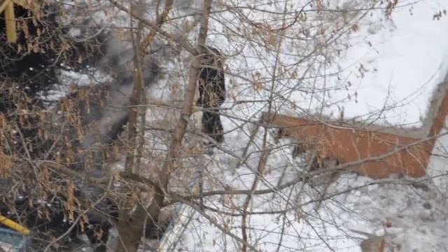 Асфальтовая крошка на детской площадке укладывается на снег смотреть онлайн