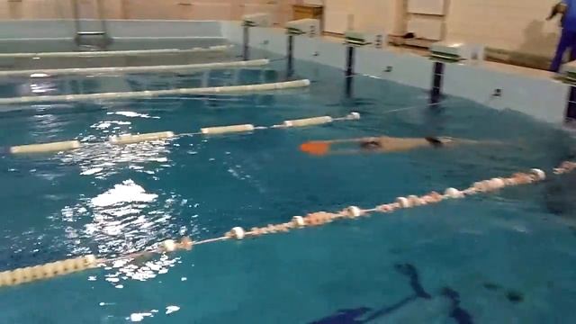 Вольный стиль. Упражнения в плавании кроль на груди