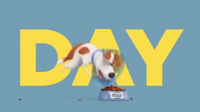 The Secret Life Of Pets 2 ‘Lovely Day Song’ Lyric Video (2019) HD смотреть онлайн