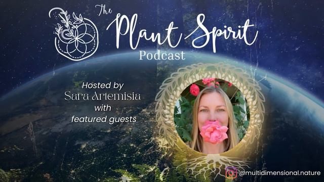 The Tarot, Plant Allies, Flower Essences & Belonging with Denai Grace Fuller смотреть онлайн