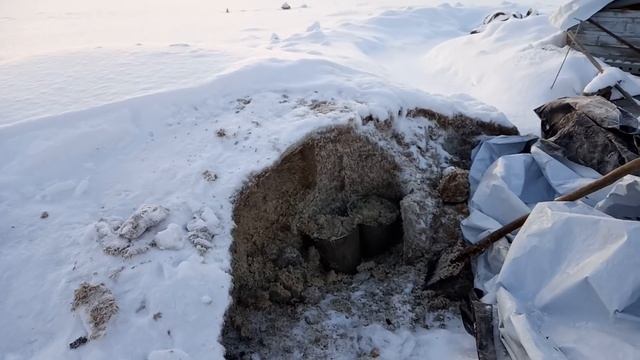 Хранение кукурузы и жома, расход сена. смотреть онлайн