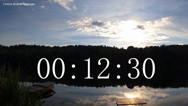 Обратный отсчет Таймер 25 минут. Звуки живой природы / Countdown. Timer 25 Min. #ГолосаЖивойПрироды