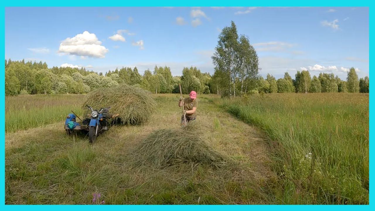 Нашел новые покосы, но сенокос замедлился! Деревенские будни июля! смотреть онлайн
