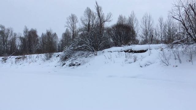 ЗВУКИ ЗИМНЕГО ЛЕСА ДЛЯ РЕЛАКСА смотреть онлайн