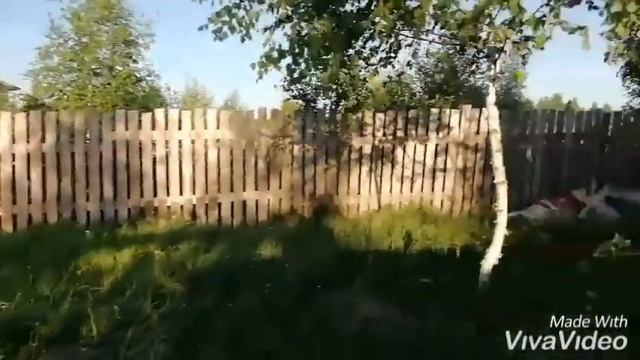 Поросята дюрок 8 месяцев! смотреть онлайн