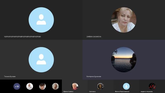 Bitlime.  Встреча в скайпе .