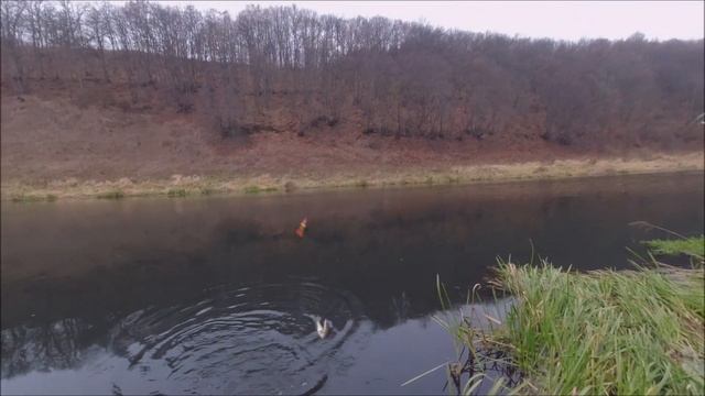 РЫБАЛКА на рек ЗУША октябр -ноябрь 2023 год смотреть онлайн