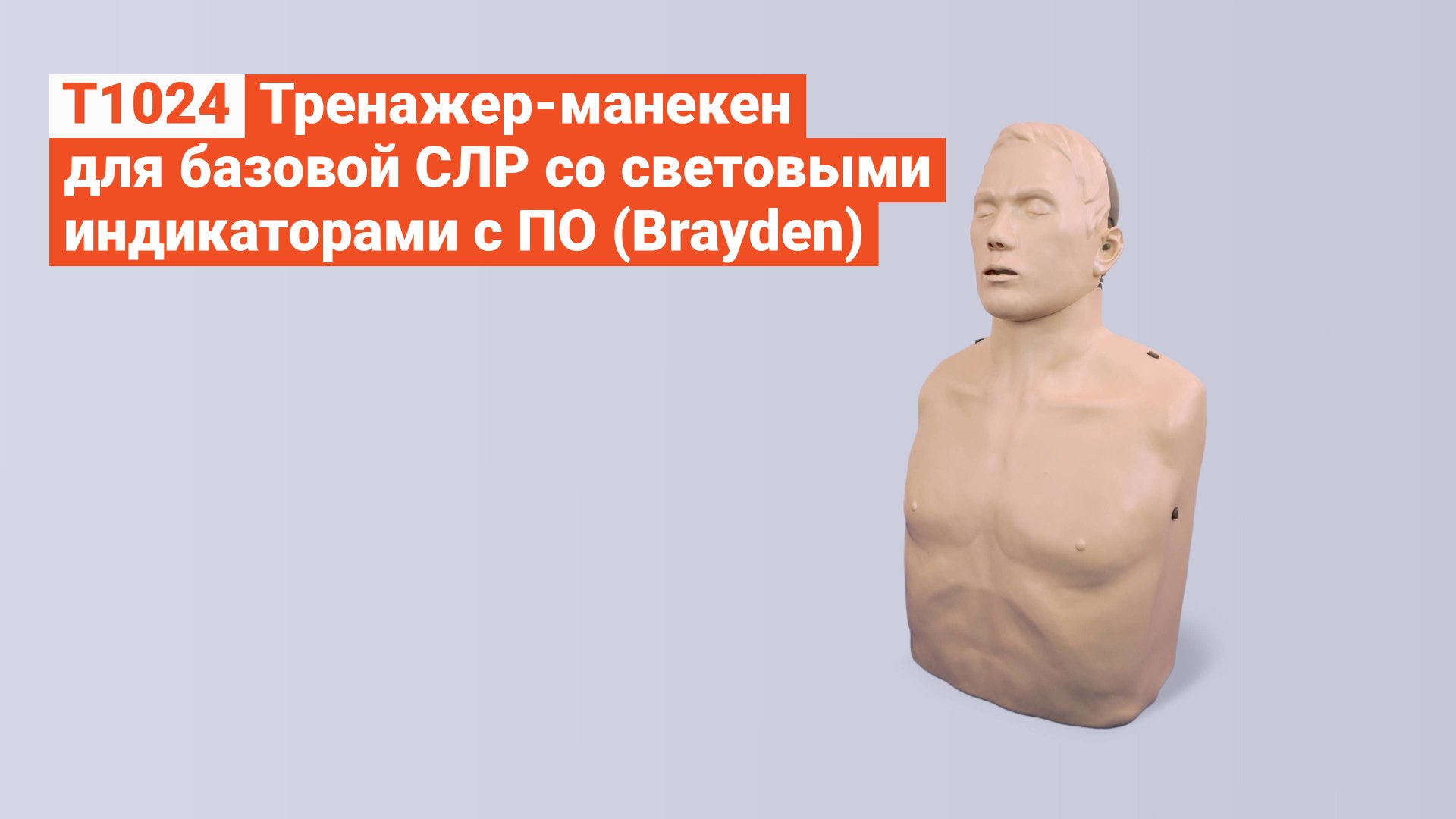 T1024 - Тренажер-Манекен для Базовой СЛР со Световыми Индикаторами с ПО (Brayden) смотреть онлайн