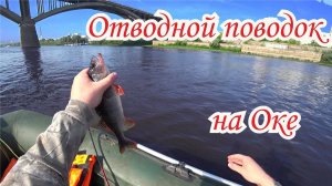Рыбалка на отводной поводок на Оке. Ловля судака и окуня на отводной поводок.