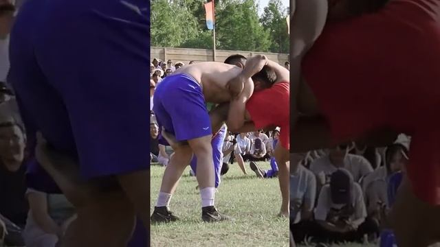 Чемпион? #wrestling #борьба #хапсагай #sport #Якутия #Саха смотреть онлайн