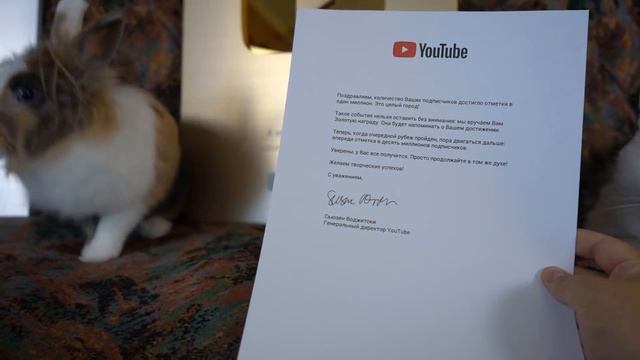 КОШЕЧКА МУРКА 24 ЧАСА на ВИДЕОЖАРЕ! Фан Встреча А ну-ка Давай-ка! ЗОЛОТАЯ КНОПКА КАНАЛА