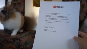 КОШЕЧКА МУРКА 24 ЧАСА на ВИДЕОЖАРЕ! Фан Встреча А ну-ка Давай-ка! ЗОЛОТАЯ КНОПКА КАНАЛА