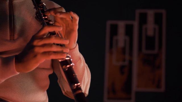 Ancient Lyre & Clarinet - The Second Waltz (Shostakovich) смотреть онлайн