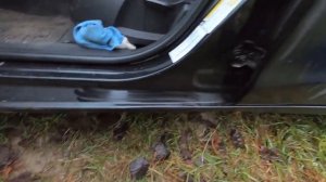 Как правильно и быстро помыть машину своими руками