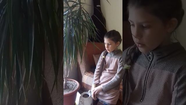 домашние растения и уход (к уроку труда в 3 классе) смотреть онлайн