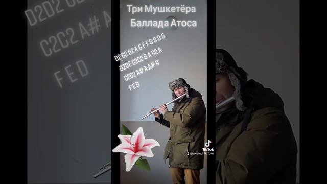 Песня Атоса из Трех Мушкетеров на флейте смотреть онлайн