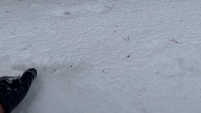 Высшая точка Саратовской области. Хвалынские горы смотреть онлайн