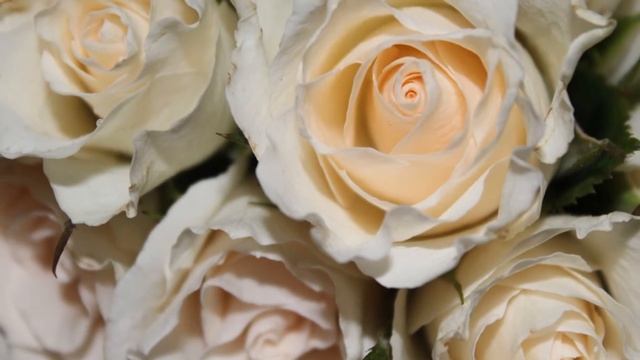 Happy Valentines Day! С днем Святого Валентина! 14 февраля!