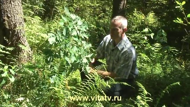 Боль в спине. Лечение смотреть онлайн