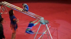 Обезьяны. Цирк. Обезьянки в цирке кувыркаются. Monkeys. Circus. Circus monkeys tumble.