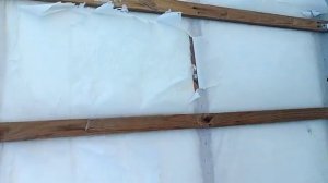 жуки в утеплителе, ветрозащитная паропроницаемая мембрана axton