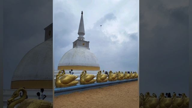 55. ШРИ ЛАНКА. КАНДИ. ХРАМ НЕЛЛИГАЛА.ХРАМ РАНАВАНА ПУРАНА РАДЖАМАХА ВИХАРАЯ смотреть онлайн