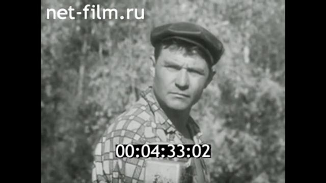 1975г. бригада путейцев. железная дорога Тюмень- Сургут- Нижневартовск смотреть онлайн