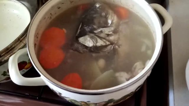 Готовим уху с толстолоба!!!
