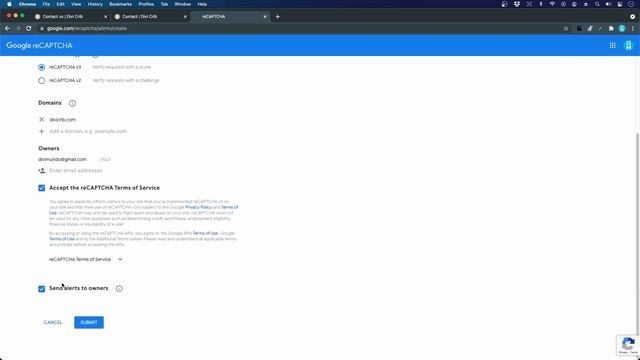6.9c Add Google reCAPTCHA v3 Spam Protection to a Divi Form смотреть онлайн