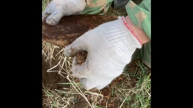 Поиск без вести пропавших солдат ВОВ смотреть онлайн