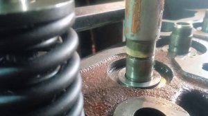 Как поменять сальники клапанов на Д 245. Д 240. Подробно!